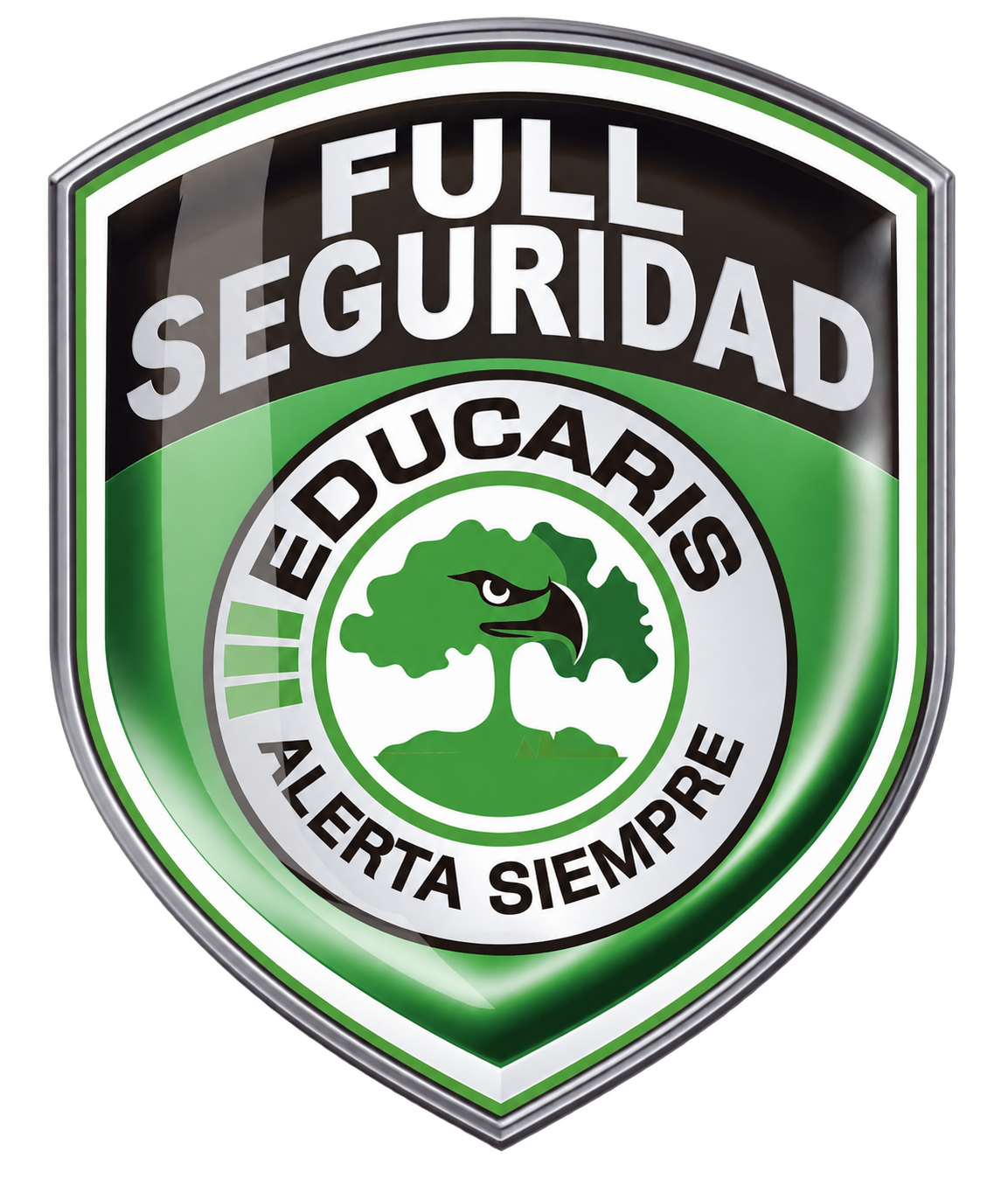 Full Seguridad